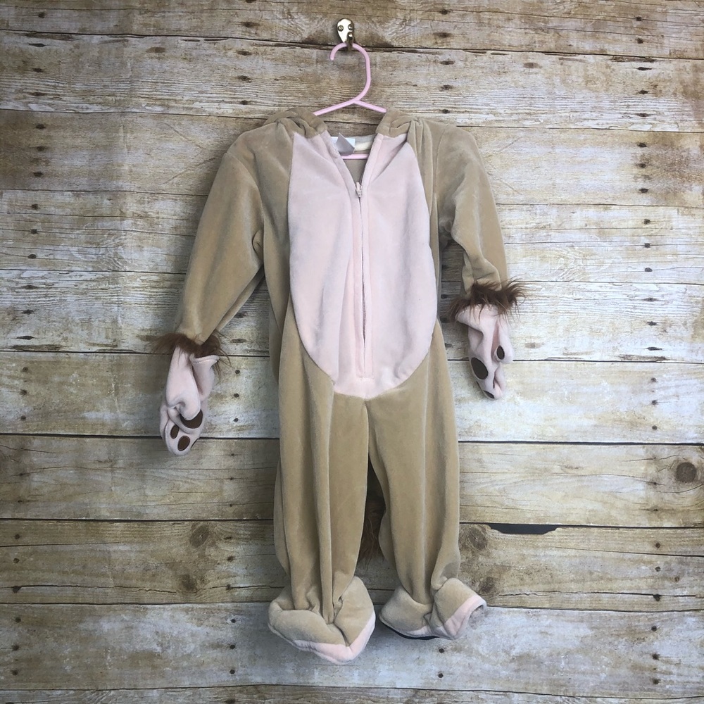 Lion costume 🛍